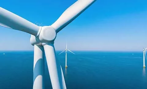 Drone et environnement : biodiversité, comptage faunique, pollution