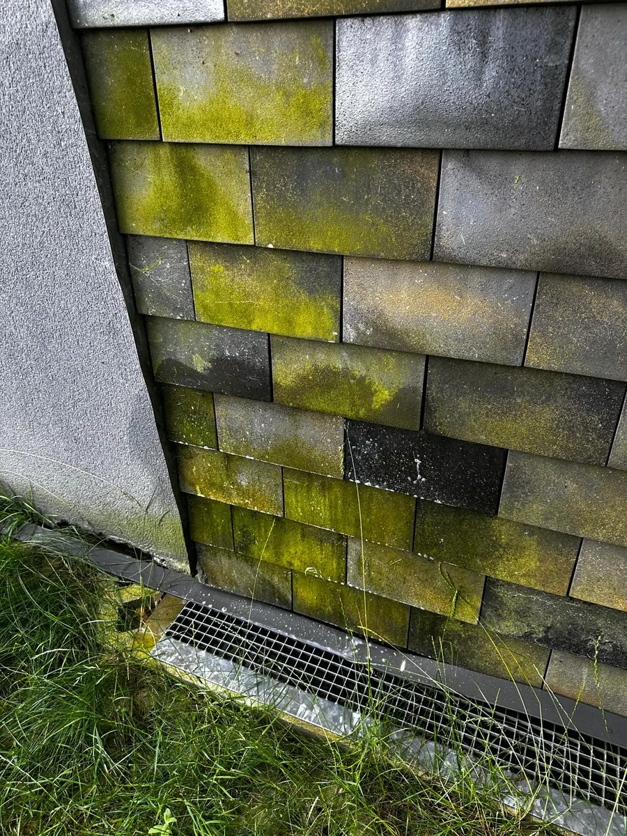 Mousse visible sur toiture avant démoussage pour Activité nettoyage toiture par drone TELEPILOTE.